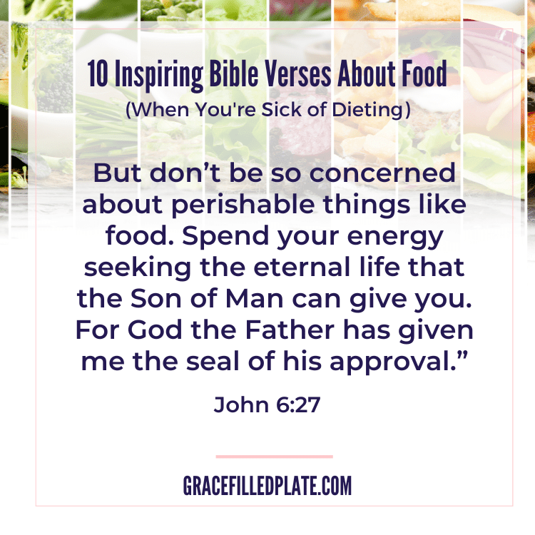 bible verses about food; John 6:27